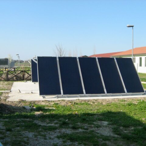 canile iontercomunale (1)