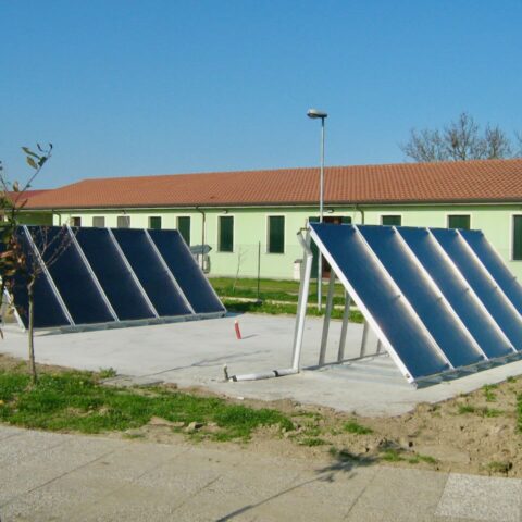 canile iontercomunale (2)
